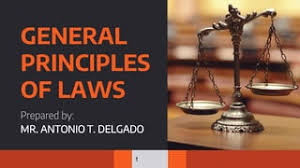 GENERAL PRINCIPLES OF LAW